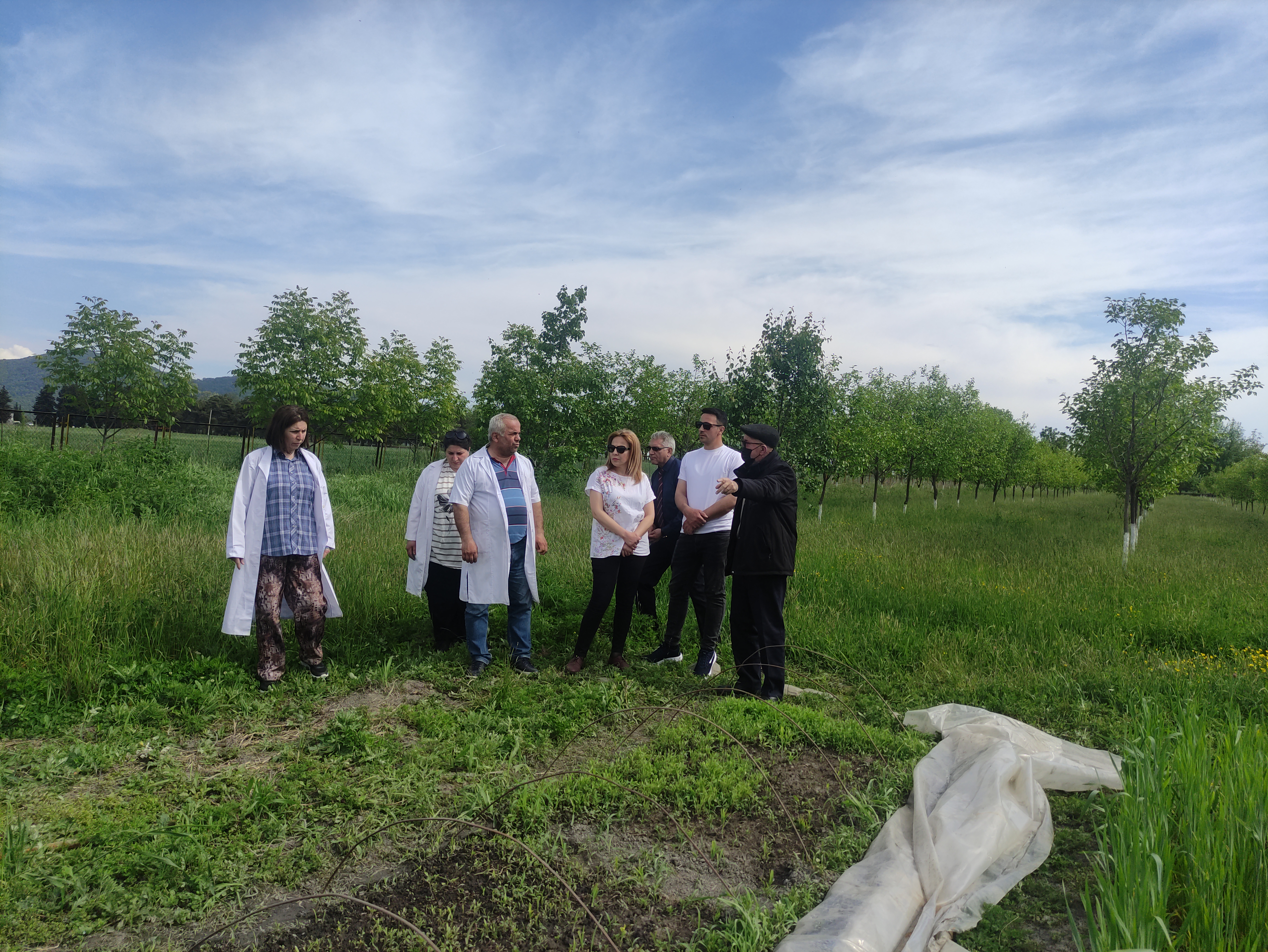 Продолжается научно-исследовательская работа в  Региональном опытно-ресурсном центре по  экологически  чистому сельскому хозяйству Каха