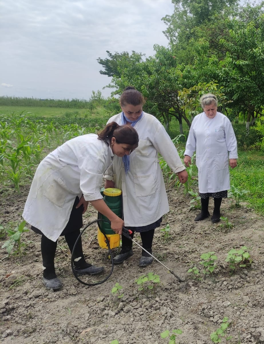 Продолжается сотрудничество Института почвоведения и агрохимии Министерства науки и образования Азербайджанской Республики с Институтом нефтехимических процессов