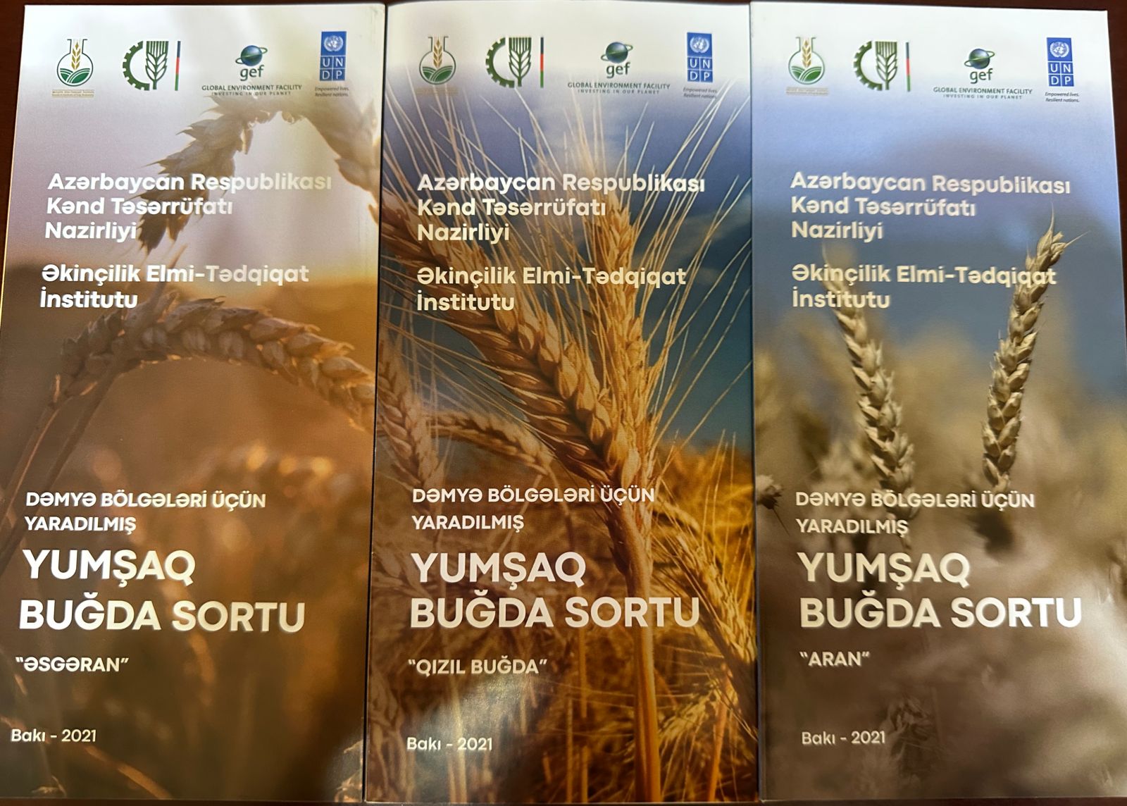 Состоялось мероприятие на тему «Развитие зерноводства на научной основе: проблемы и перспективы».
