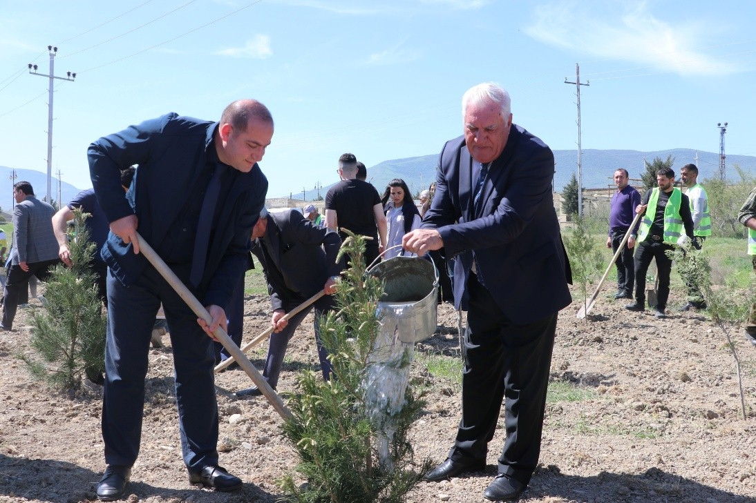 Сотрудник Института почвоведения и агрохимии МНО АР принял участие в акции по посадке деревьев в Сиязане в рамках проекта «На пути к Азербайджану, достигшему нейтральности деградации почв»