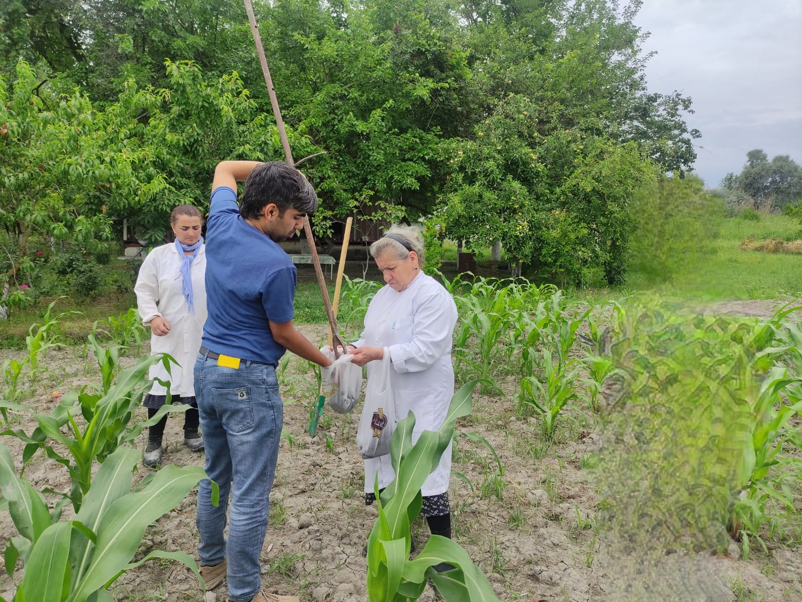 Продолжается сотрудничество Института почвоведения и агрохимии Министерства науки и образования Азербайджанской Республики с Институтом нефтехимических процессов