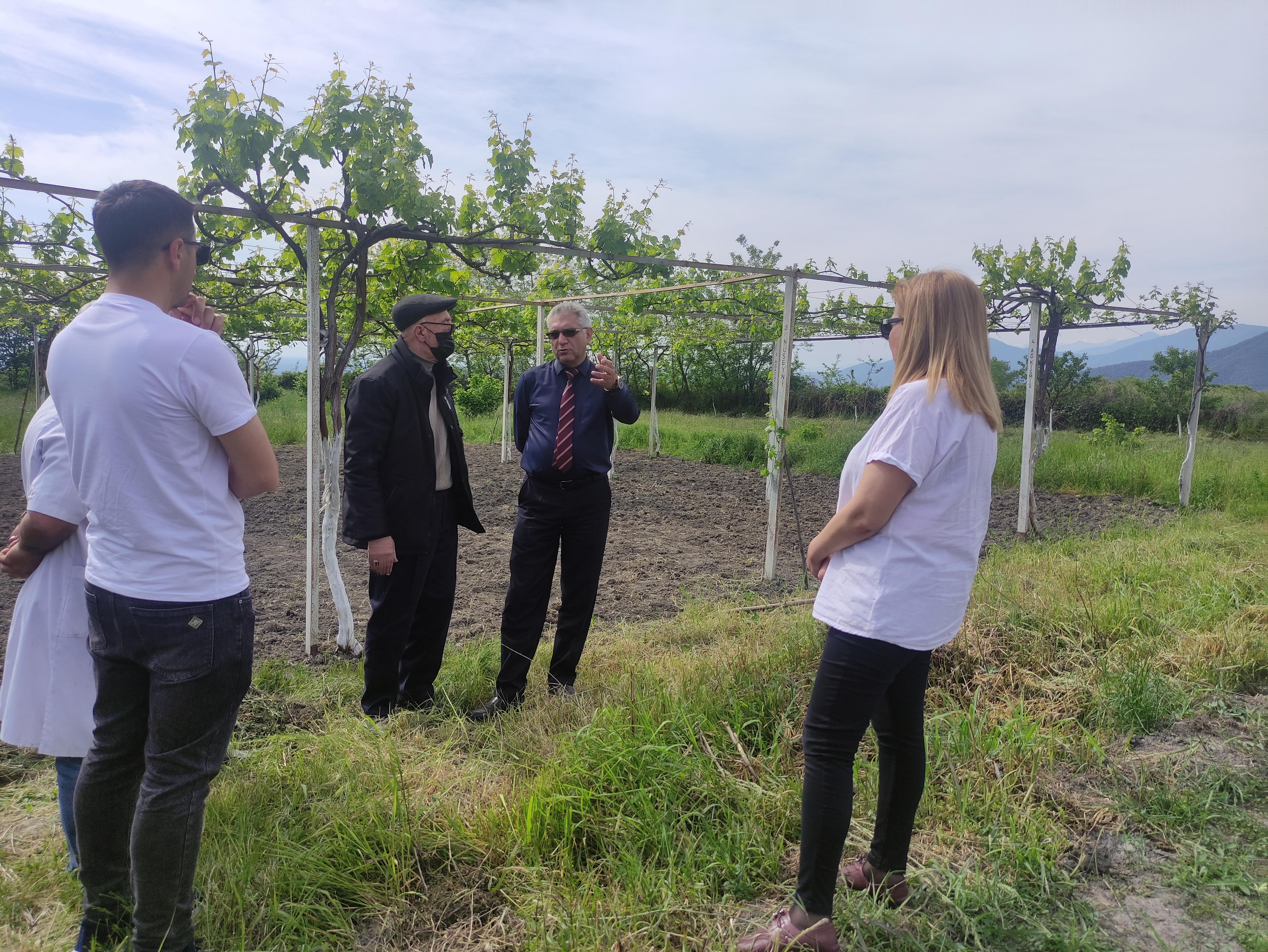 Продолжается научно-исследовательская работа в  Региональном опытно-ресурсном центре по  экологически  чистому сельскому хозяйству Каха